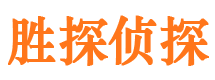 爱民市侦探公司